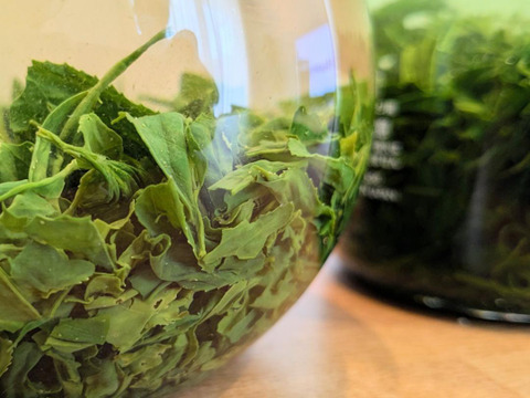 【2025年 新茶】 京都・舞鶴のお茶 本格煎茶 80g プレゼント ギフトにも