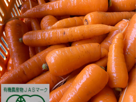 ★甘くてみずみずしい！有機人参A品Lサイズ！10kg