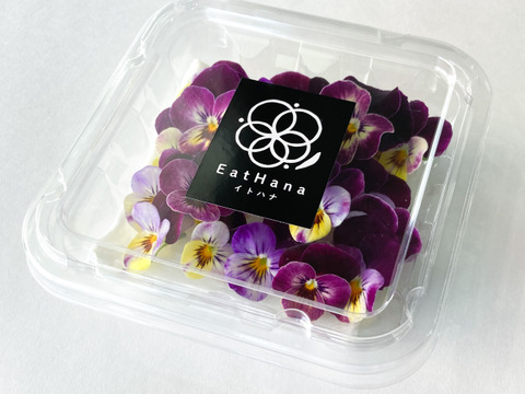 ＜室内栽培＞【エディブルフラワー　ビオラロイヤルパープル（20輪）】EatHanaイトハナ　食べられる花　水洗い不要　日持ち　ケーキ飾り　トッピング　デコレ―ション　装飾　クリスマス　お祝い　誕生日