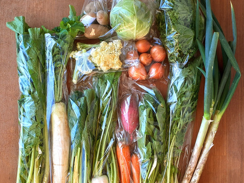 【福袋】信州四賀より里山の冬野菜セット　9品目+おまけ