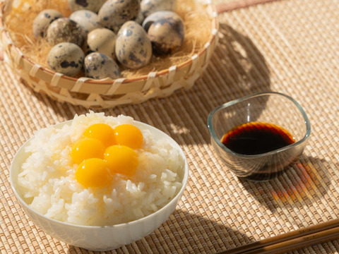 【期間限定初物】若鳥の産んだ初産みうずらの卵100個＋うずらの燻製卵5個入り5袋(冷蔵便）