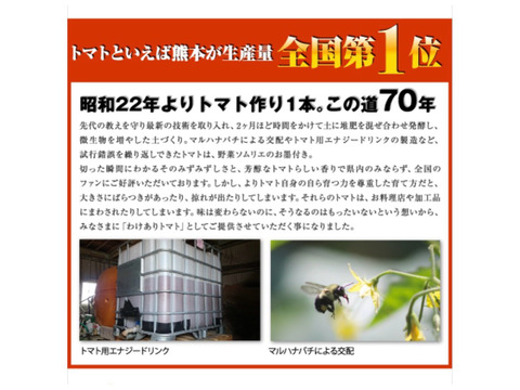 【特別栽培農産物の取得】ソムリエミニトマト　ダイヤ３kg（１２０玉～２００玉）