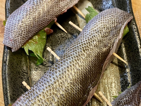 愛知，日間賀島産 《魚セット》大盛り，4人で贅沢コース 4Kg±
~宝の海で採れた鮮魚を発送致します~
鮮魚BOX