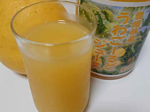 愛媛県産うわごーるど（河内晩柑）ジュース（12本）
