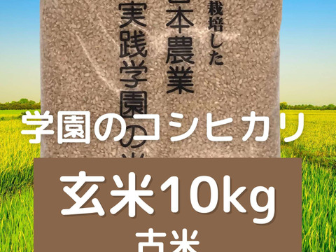 農業学校の学生と作ったコシヒカリ【古米】玄米10kg　令和２年産