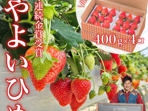 4年連続金賞受賞・群馬県最高峰いちご「スーパーデラックス」ダブル（W）2箱4品種入り