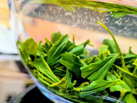 【2026年 新茶】 京都・舞鶴のお茶 摘みたて 本格玉露 80g