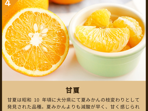 【食べ比べ】みかん・カンキツ詰め合わせセット4kg｜和歌山県海南市下津町から旬のみかん・かんきつ詰合わせセットを産地直送、農園直送でお届け。清見、セミノール、甘夏、八朔等、様々な柑橘が楽しめます