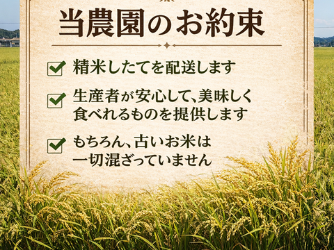 ３種食べ比べセット！キヌムスメ・にこまる・ミルキークイーン 2026年産「岡山県産お米」２kg×３個セット