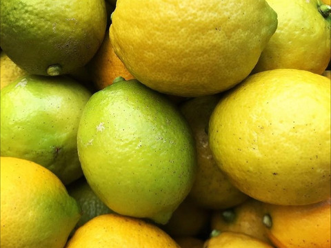 オススメ◆こぶりレモン2.4kg◆農薬不使用◆広島県産レモン　数量限定！