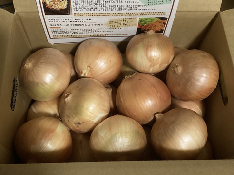 【玉ねぎの王様ターザン】 淡路島玉ねぎ「いくたま」（5kg）