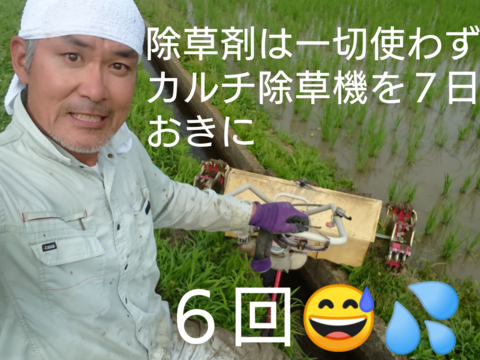 【 玄米・24kg 】米の旨味たっぷり 自然栽培米 ひとめぼれ
