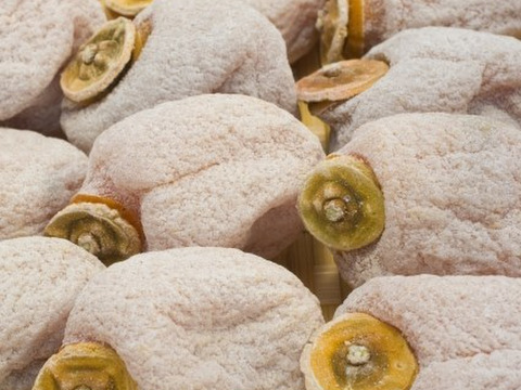 むっちり甘い干し柿！市田柿700g贈答品