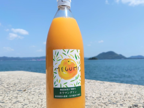 【農薬不使用栽培】柑橘ジュース4種類1000ml飲み比べセット （無添加果汁100％）