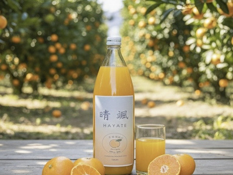 和歌山　天田みかん100％ジュース　1L