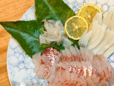 【あなたの新しい調味料へ】香り高い「レモンの葉」