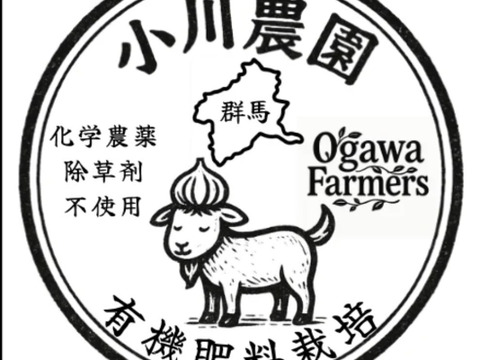 令和8年度 群馬県産 乾燥ニンニク 有機肥料栽培 農薬化学薬品無使用