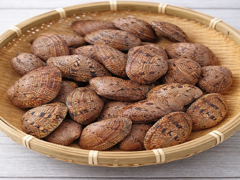 活　スダレ ガイ　2ｋｇ