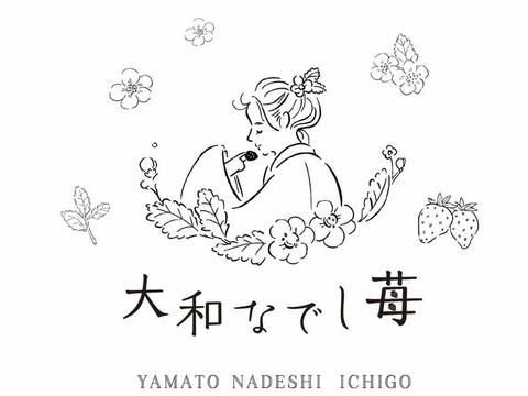 家庭用　訳あり　古都華　奈良県　奈良県　橋本農園　ことか　270g×2パック　いちご　苺