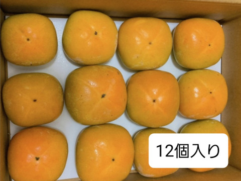 【秋の味覚】和歌山県産　たね無し柿(刀根早生)　A-B品S～Lサイズ9個～12個入り。