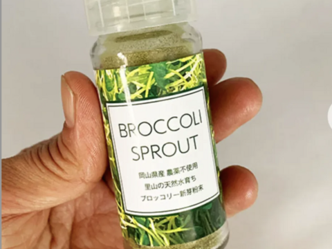 ブロッコリースプラウトパウダー　スパイスボトル入り（10g）×３本セット