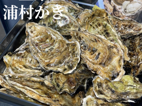 【生牡蠣】【生食用】三重県産 浦村かき カンカン焼き×2缶（1缶あたり 殻付き Mサイズ牡蠣 約40～50個前後、約4キロ入り）
牡蠣 カキ 貝類 海鮮 BBQ 歳暮 熨斗 母の日 父の日【冬ギフト】