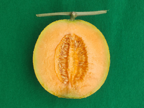 幻のメロン赤　北海道栗山町産２玉