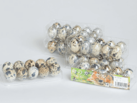 【期間限定初物】若鳥の産んだ初産みうずらの卵100個＋うずらの燻製卵5個入り5袋(冷蔵便）