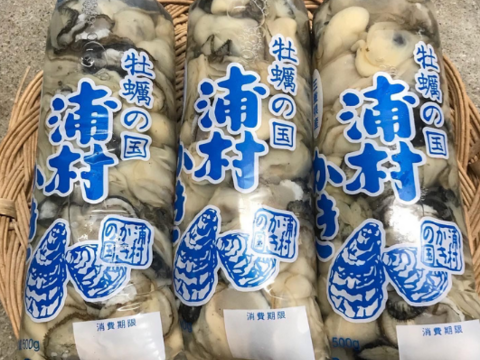 【予約商品】10月18日以降到着指定可能、または順次お届け 
三重県産 生食用 浦村かき むき身 牡蠣（５００g）×2袋 総重量1キロ
生で食べれる衛生的な牡蠣です！酢牡蠣やカキフライにアヒージョ