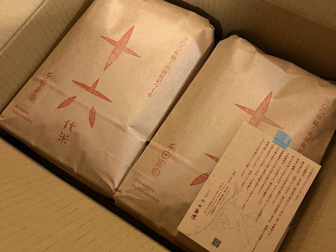令和6年産 ひとめぼれ】300年続く米農家がつくるこだわりの《十
