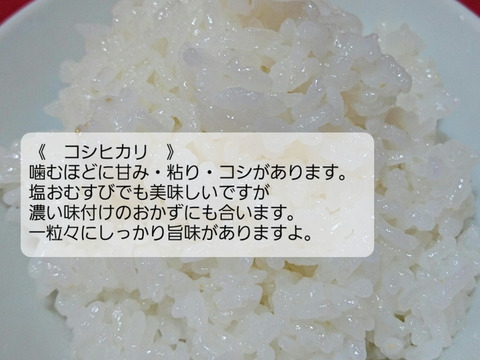【母の日ギフト】②【 農薬不使用のお米】特別栽培米コシヒカリ1㎏・ミルキークイーン１㎏ 詰め合わせギフト 令和4年産