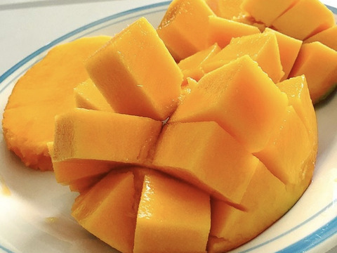 【冬ギフト】【福袋】宮崎県産✨マンゴー農家のつくった完熟ドライマンゴー40g