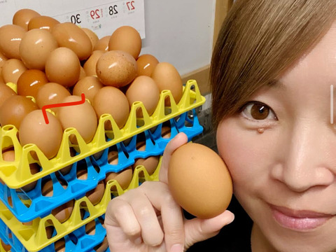 60個入 佐伯養鶏の平飼い卵：大分県産の平飼い｜食べチョク