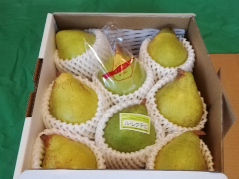 sahar様用 ルレクチェ、糖度16度以上、中玉サイズ、2キロ(6玉)×三箱+送料500円
