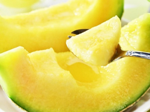 【父の日ギフト】1玉入り外まで甘いマスクメロン