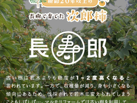 【冬ギフトお歳暮用！】長生き次郎柿『長寿郎』大きい3Lサイズ6玉入り