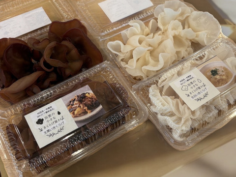 出雲の生きくらげ食べ比べセット（白100g・黒100g）