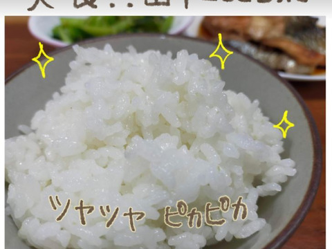 なたね油かす施肥！好食味のコシヒカリ白米5㎏