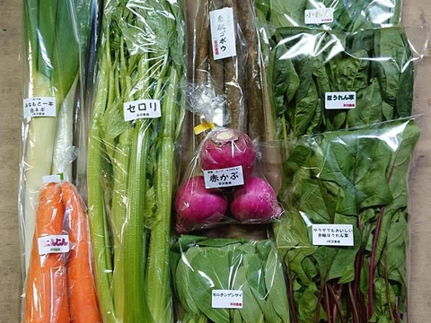 平沢農場自慢の葉物根菜セット（7品目）