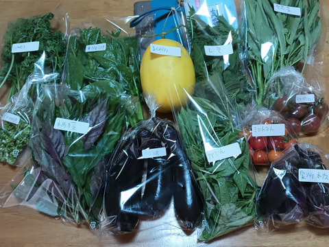 夏野菜ガチャ 10連
