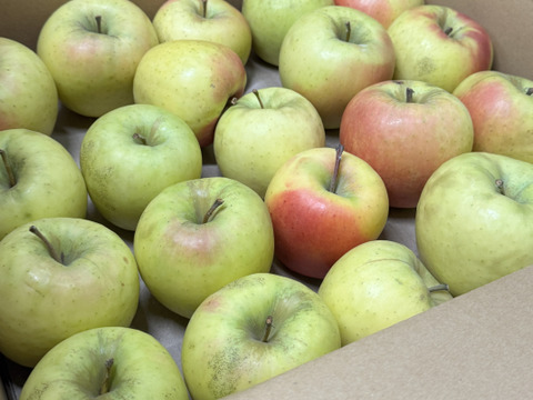 ★残りわずか★【訳あり・バラ詰め・大小込み】ぐんま名月💛約4.5Kg🍏青森県産　数量限定