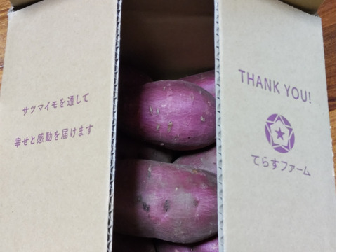 新物！上品な甘さの「シルクスイート」２kg【鹿児島県産】【さつまいも】