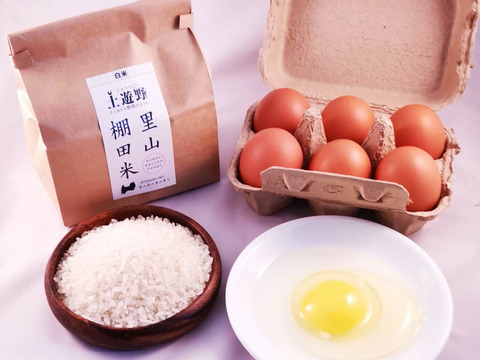 【詰合せ】有機棚田米コシヒカリ2kg+ミルキークイーン2kg+イセヒカリ2㎏ + 平飼い卵20個 【熨斗付き】