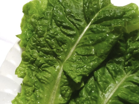 焼肉を巻き巻き岡山県産の青１０枚