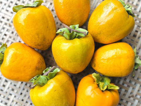 干し柿用！自然栽培渋柿（品種:蜂屋柿） 大玉 10玉 約2.5kg：福島県産