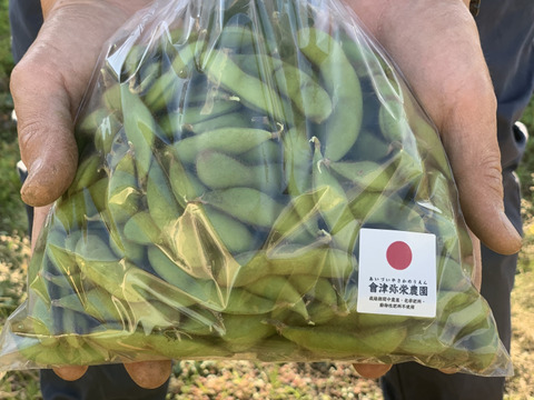 【期間限定】甘い！自然栽培枝豆『音更大袖振大豆』（500g×2p）