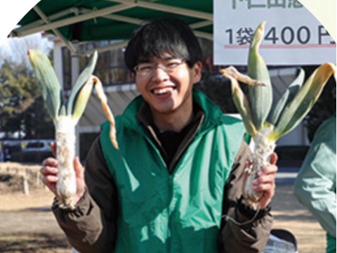 殿様も愛した「下仁田葱」12本