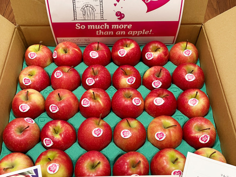 5キロ箱【極小サイズ】キュンとくる酸味！ピンクレディー®　スタンダード品【28個から30個】