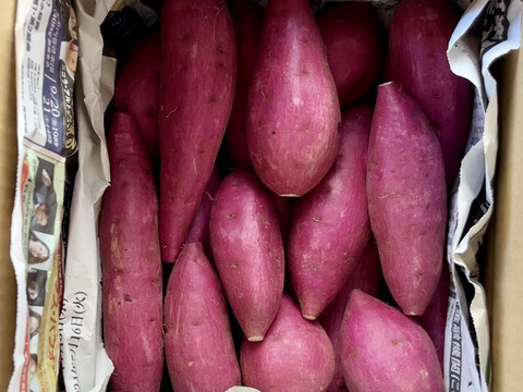 ちびちびサイズでもホックリサラリ‼︎「ゆきこまち」 2キロ箱