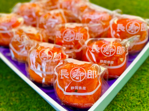 11/10から出荷【化粧箱入り】長生き次郎柿『長寿郎』２Lサイズ12玉入り　お手頃中玉ギフト